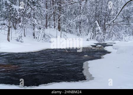 Eisfrei laufender Fluss im verschneiten Wald an einem düsteren kalten Wintertag Stockfoto