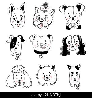 Sammlung von niedlichen Hunden. haustiere verschiedener Rassen Yorkshire Terrier, Spitz, Boxer und Spaniel, Pudel und Dogge, Mongrel und Pinscher. Vektor Stock Vektor