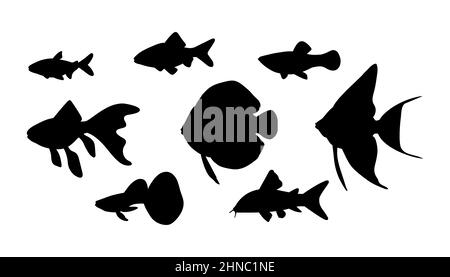 Vector Aquarienfische in schwarzer Silhouette auf weißem Hintergrund isoliert. Stock Vektor