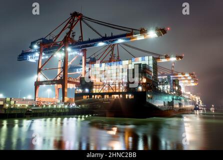 Hamburg, Deutschland. 16th. Februar 2022. Das Containerschiff „MSC New York“ wird am frühen Morgen am Eurogate-Terminal im Hamburger Hafen abgefertigt. Quelle: Axel Heimken/dpa/Alamy Live News Stockfoto