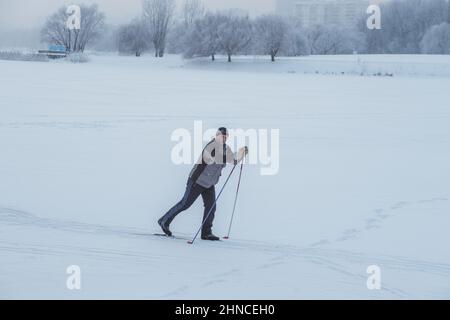 Zauberhafter Winter im Park. Frostiger Tag. Hochwertige Fotos Stockfoto