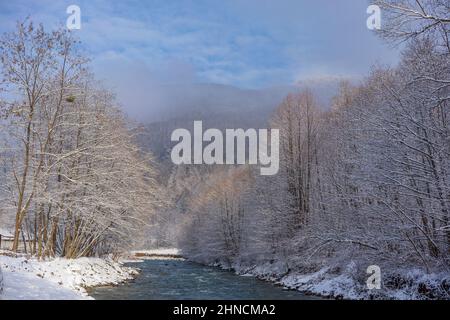 Pynya Fluss im Winter in ukrainischen Karpaten, Ukraine Stockfoto