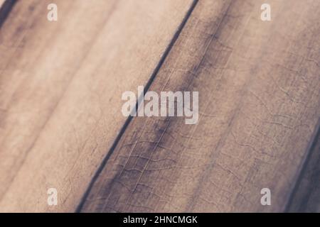 Makroaufnahme Abstrakt echte Schönheit Natur Hintergrund. Getrocknete tropische Pflanze Blatt Oberfläche Textur Struktur Detail diagonale Vene Linie Streifen Streifen. Einfach Stockfoto