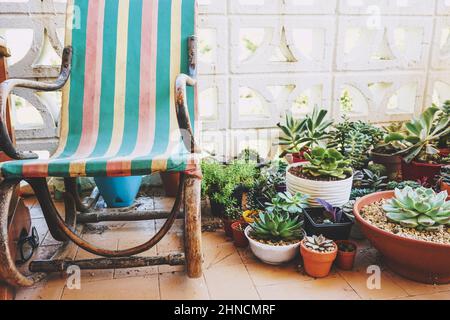 Ruhe Platz in zu Hause auf der Terrasse mit vielen Sukulenten Pflanzen Stockfoto