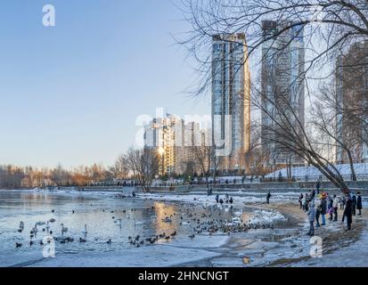 Besucher des Natalka-Parks im Obolon-Gebiet in der Stadt Kiew füttern und fotografieren Schwäne und Enten auf dem gefrorenen Dnepr. Ukraine Stockfoto