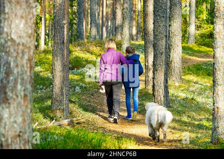 Familienspaziergang Mit Pet Golden Retriever Dog Auf Dem Herbstwald-Pfad. Wandern im Pinienwald Stockfoto