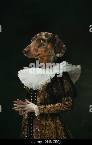 Edle Dame. Weibliche mittelalterliche königliche Person in Vintage-Kleidung mit Hundekopf isoliert auf dunklem Retro-Hintergrund geführt. Konzept des Vergleichs von Epochen Stockfoto