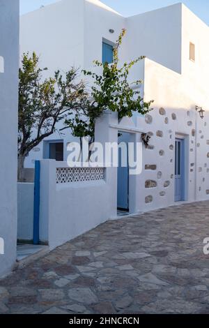 Griechenland, Insel Ano Koufonisi. Traditionelles Steingebäude mit Baum, weißer und blauer Fassade, Kykladen-Architektur. Leere Kopfsteinpflasterstraße. Stockfoto