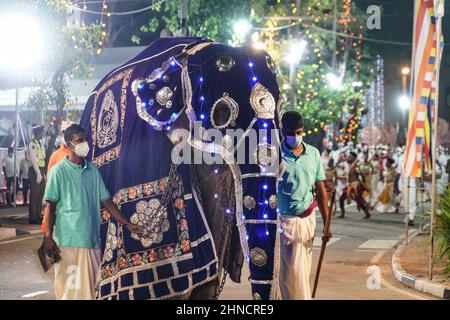 Colombo, Sri Lanka. 15th. Februar 2022. Am 15. Februar 2022 nimmt ein Elefant am Navam Perahera im Gangaramaya-Tempel in Colombo, Sri Lanka, Teil. Quelle: Tang Lu/Xinhua/Alamy Live News Stockfoto