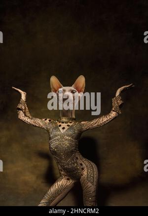 Flexible anmutige weibliche Modell wie mittelalterliche Person in Vintage-Kleidung von Katzenkopf auf dunklen Retro-Hintergrund isoliert geführt. Konzept des Vergleichs von Stockfoto