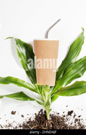 Wiederverwendbare Öko-Kaffee- oder Teetasse, Pflanze mit Wurzeln im Boden auf weißem Hintergrund. Nachhaltiger Lebensstil.Umweltfreundlich und Zero Waste.Flat Lay-Modell Stockfoto