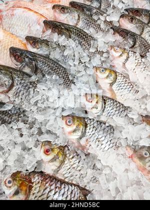 Frischer Silberbarbfisch zum Verkauf im Marktrestaurant mit Meeresfrüchten, roher Karpfenfisch auf Eis Stockfoto