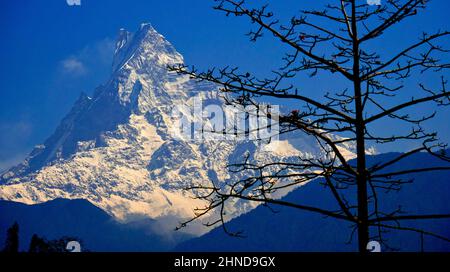 Machapuchare Holy Mountain, Fish Tail, Trek to Annapurna Base Camp, Annapurna Conservation Area, Himalaya, Nepal, Asien Stockfoto