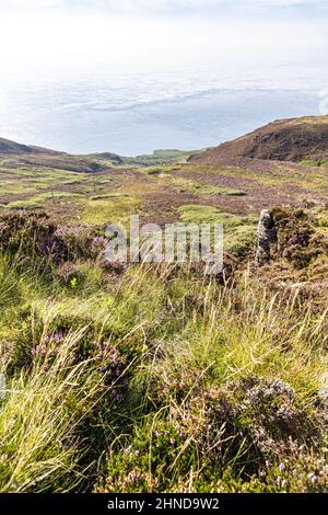 Felsige Aufschlüsse auf dem mit Heidekraut verkleideten Moorland auf der Mull of Kintyre am südlichen Ende der Kintyre Peninsula, Argyll & Bute, Schottland, Großbritannien Stockfoto