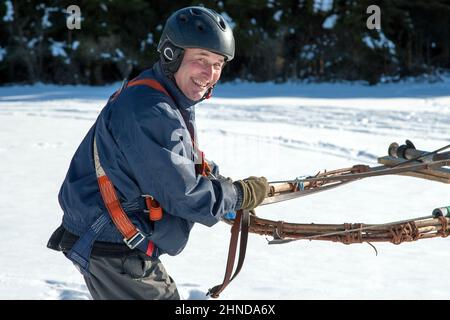 Skifahrer am Skijöring freuen sich auf den schönen Wintertag.in den Wintermonaten, wenn es schneit, lassen sich Skifahrer von hor ziehen Stockfoto