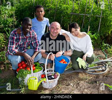 Freundliche internationale Familie mit der Ernte von Gemüse auf der Plantage Stockfoto