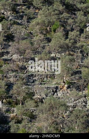 Rotes de Caimari, Gemeinde von Selva, Brunnen von kulturellem Interesse, Mallorca, Balearen, Spanien Stockfoto