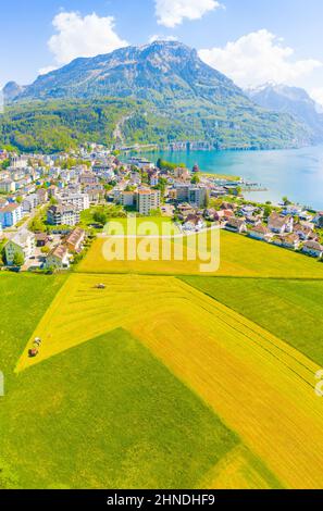 Schweiz. Das Dorf Brunnen. Kanton Schwyz. Die Gipfel der Berge Stoos 1305 m. Luftaufnahme. Schießen von einer Drohne. Stockfoto