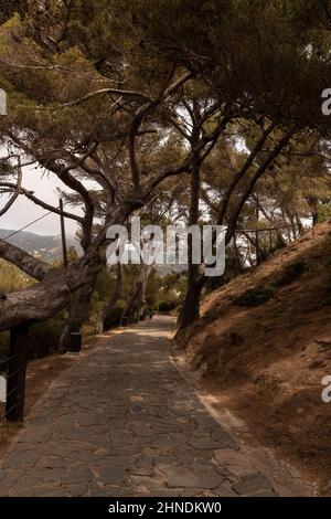 Küstenweg in tossa de mar an der costa brava Stockfoto