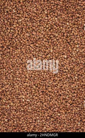 Foto von getrocknetem Essen Stockfoto