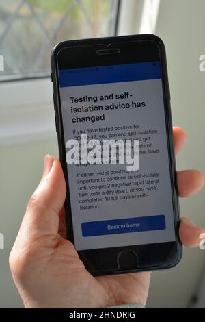 Yeovil, Somerset, England - Februar 4 2022 : Smartphone in Frauenhand, zeigt aktive NHS Covid-19 Test und Trace App, Bildschirm mit Testing und Self Stockfoto