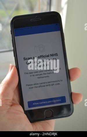 Yeovil, Somerset, England - Februar 4 2022 : Smartphone in der Hand der Frau, zeigt aktive NHS Covid-19 Test und Trace App, Bildschirm zum Scannen von QR-Code für V Stockfoto