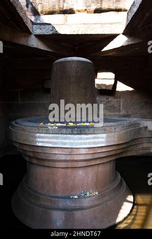 Nahansicht von Badavi Linga (große Shiva Linga) im vertikalen Tempelrahmen, Hampi, Karnataka, Indien-Februar 01,2022 Stockfoto