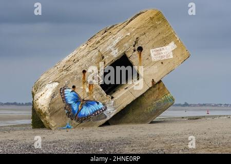 Joli papillon sur le blockhaus du Hourdel Stockfoto