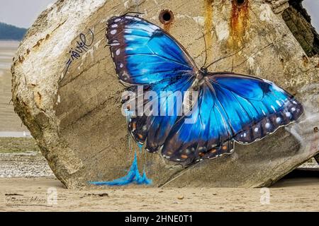 joli papillon sur le blockhaus du Hourdel Stockfoto