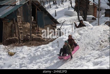 Die Kinder nehmen an einem sonnigen Tag in Drang an einer Schlittenfahrt auf einer schneebedeckten Piste Teil. Stockfoto