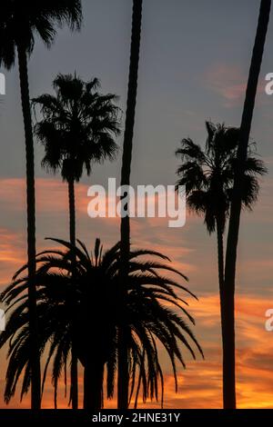 Sonnenuntergänge in Redondo Beach, Kalifornien, können lebhaft und schön sein. Stockfoto