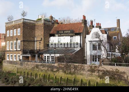 Das Dove Public House neben der Themse in Hammersmith, West London, England, Großbritannien Stockfoto