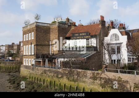 Das Dove Public House neben der Themse in Hammersmith, West London, England, Großbritannien Stockfoto