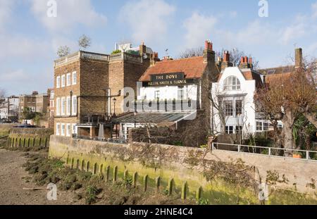 Das Dove Public House neben der Themse in Hammersmith, West London, England, Großbritannien Stockfoto