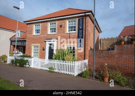 Hopkins Häuser zeigen sich auf einer neuen Wohnsiedlung in Norfolk England Stockfoto