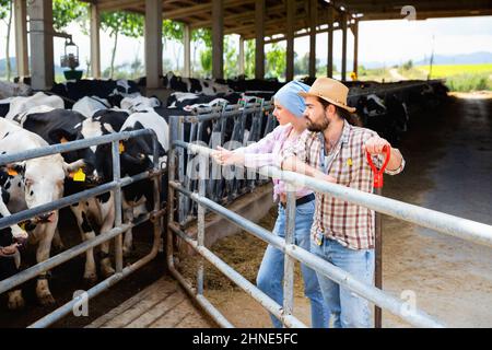 Junge positive Bauernfamilie in der Nähe von Fechten in Kuhstall, Kommunikation während der Pause in der Arbeit Stockfoto