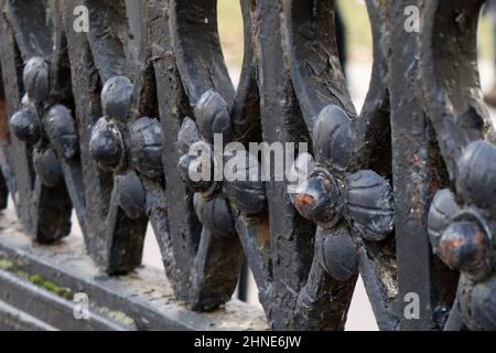 Schmiedeeiserner Zaun mit Blumen. Dekorativer schmiedeeiserner Zaun. Modischer Zaun aus Metall. Stockfoto