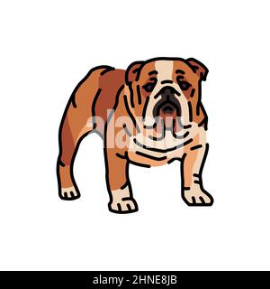 Symbol für englische Bulldog-Farblinie. Hunderasse. Stock Vektor