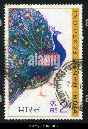 INDIEN - UM 1980: Briefmarke gedruckt von Indien, zeigt Pfau, um 1980 Stockfoto