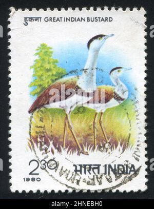 INDIEN - UM 1980: Briefmarke gedruckt von Indien, zeigt Reiher, um 1980 Stockfoto