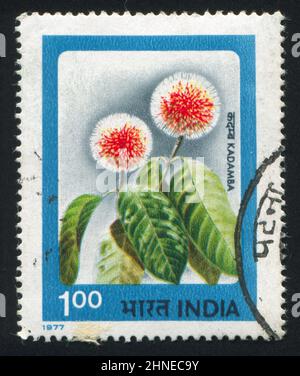 INDIEN - UM 1977: Briefmarke gedruckt von Indien, zeigt Blume Kadamba, um 1977 Stockfoto
