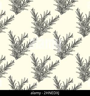 Rosmarin Kräuter Zweig Tinte Skizze nahtlose Muster. Monochrome Lebensmittel Zutat Tapete. Vintage handgezeichneter gravierter Stil. Vektorgrafik Stock Vektor