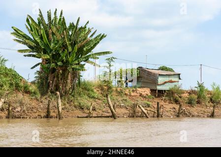 Rustikales Wellblechhaus und Palme am Ufer des Mekong-Flusses, Mekong-Delta, Vinh Long Provinz, Südvietnam, Südostasien Stockfoto