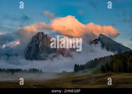 Hügelige Agrarlandschaft mit bunten Bäumen auf der Seiser Alm, die Berge Langkofel (links) und Plattkofel (rechts) bei Sonnenuntergang. Stockfoto