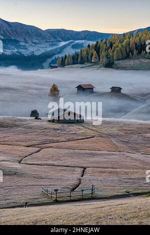 Nebel über den Weiden der Seiser Alm mit Holzhütten im Herbst bei Sonnenaufgang. Stockfoto