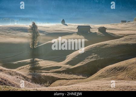 Nebel über den Weiden der Seiser Alm mit Holzhütten und Bäumen im Herbst bei Sonnenaufgang. Stockfoto