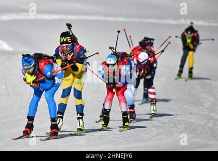 Zhangjiakou, Chinas Provinz Hebei. 16th. Februar 2022. Athleten treten während der 4x6-km-Staffel von Biathlon-Frauen im Nationalen Biathlon-Zentrum in Zhangjiakou, nordchinesische Provinz Hebei, am 16. Februar 2022 an. Kredit: Guo Cheng/Xinhua/Alamy Live Nachrichten Stockfoto