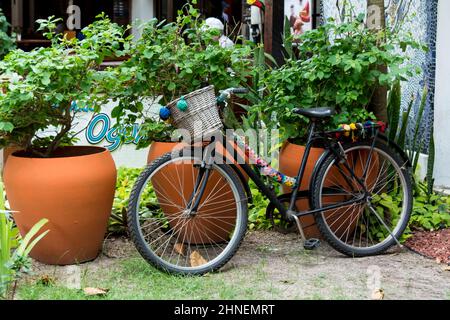 Ein Fahrrad vor einem Hintergrund von Pflanzen und bunten Blumen. Mata de Sao Joao, Bahia, Brasilien. Stockfoto