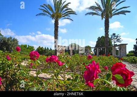 Gan Hanadiv  Garten des Wohltäters Rothschild, in der Nähe von Zichron Yaakov, Israel. Stockfoto