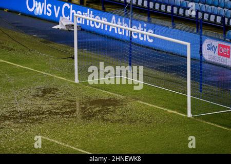 Sheffield, Großbritannien. 16th. Februar 2022. Ein Blick auf den wasserumgeloggten Platz im Hillsborough Stadium, Heimstadion von Sheffield Mittwoch nach starken Winden und Regen durch Sturm Dudley weiterhin traf die Gegend von Sheffield, South Yorkshire, UK, 16/02/2022 in Sheffield, Vereinigtes Königreich am 2/16/2022. (Foto von Ben Early/News Images/Sipa USA) Quelle: SIPA USA/Alamy Live News Stockfoto